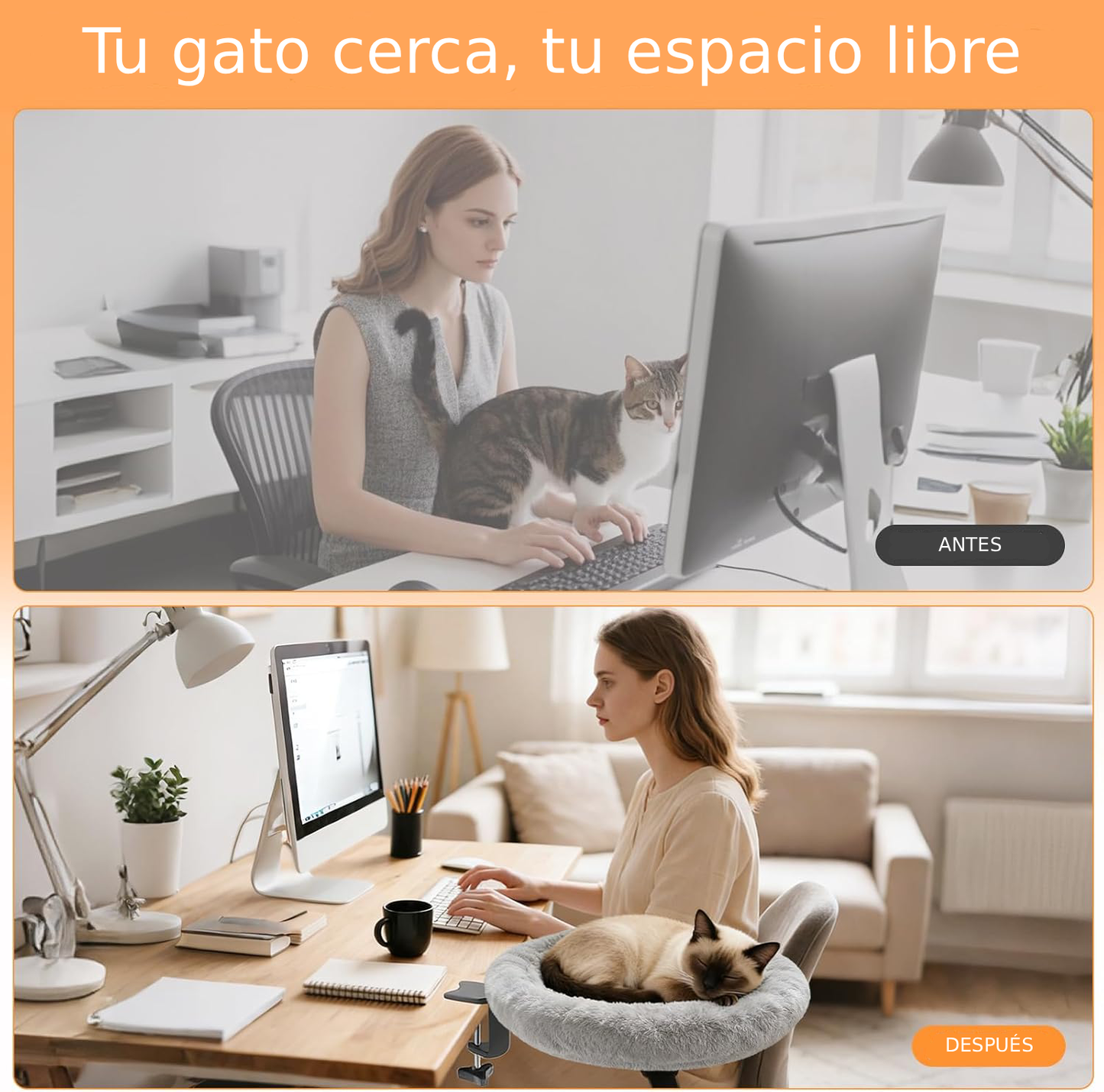 Cama de escritorio para gatos semicircular plegable